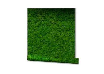 tapet imitatie muschi verde inchis