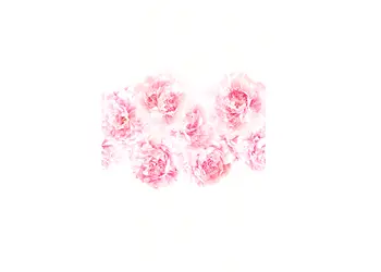 fototapet floral marburg 47260