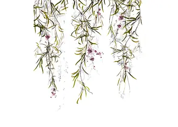 tapet floral marburg 63452