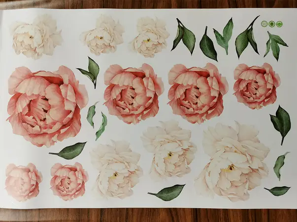 12 stickere bujori crem