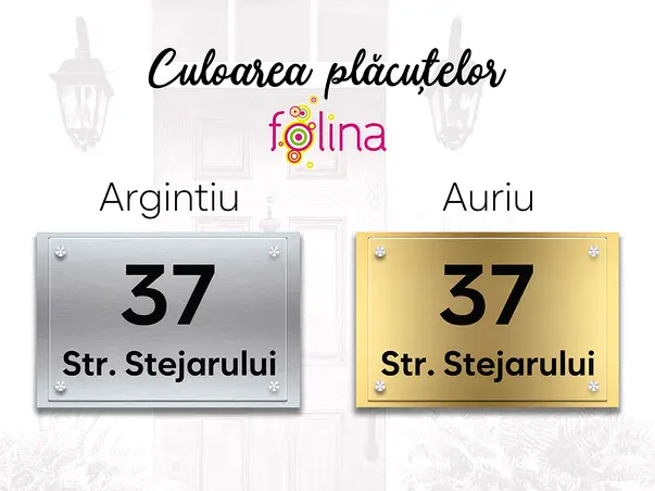 3. Placuta din doua bucati dibond plexiglass adresa si numare simulare culoare