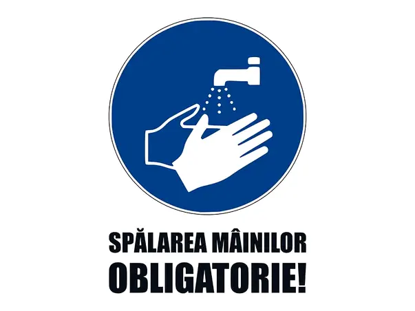 ANGAJATII SA SPELE MAINILE 2