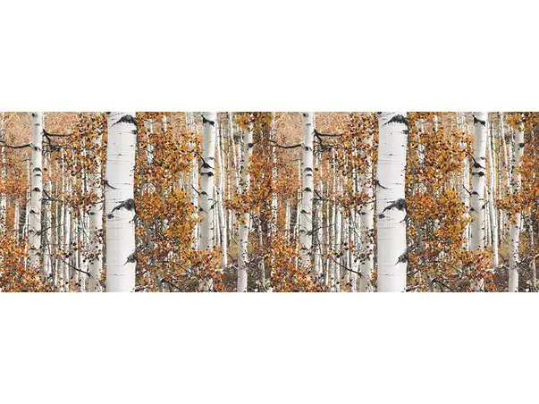 Autocolant bucatarie model emotie de toamna 4