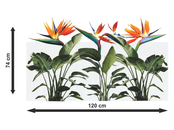 Autocolant sablare pasarile paradisului x1