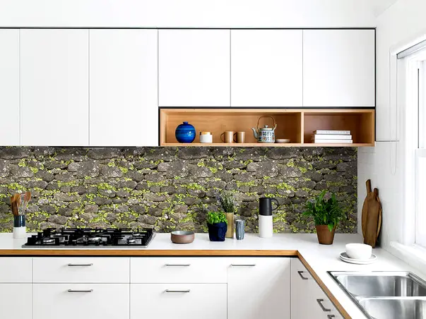 Autocolant zid din piatra cu plante 2