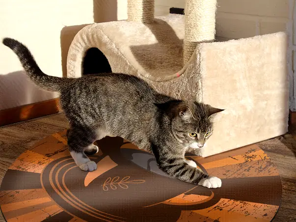 Covor din vinil rotund model ceasca cafea oranj 3