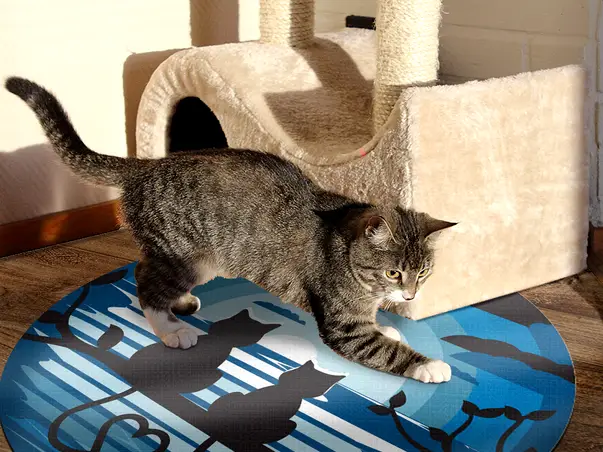 Covor din vinil rotund model pisici albastru 3