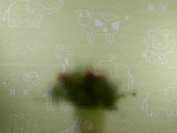 Folie geam autoadeziva funny animals