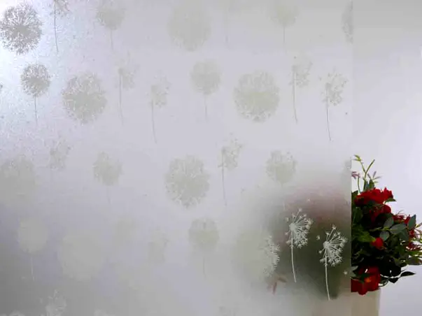 Folie geam electrostatica papadie