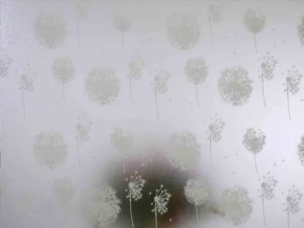 Folie geam electrostatica papadie