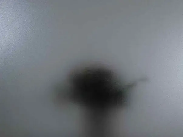 Folie geam electrostatica sablare fumurie