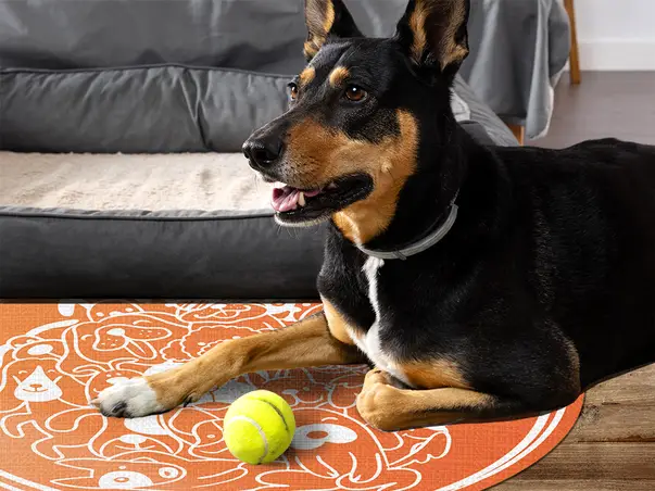 Folina covor din vinil model catelusi oranj v2