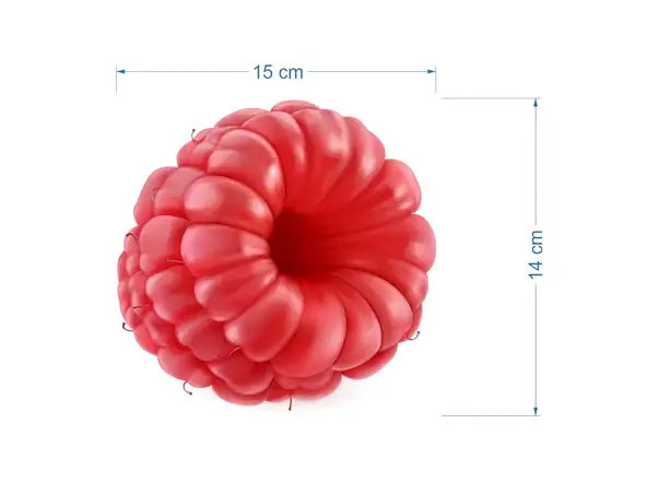 Forest fruits element