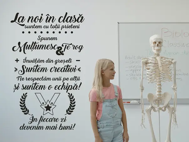 La noi in clasa simulare 1