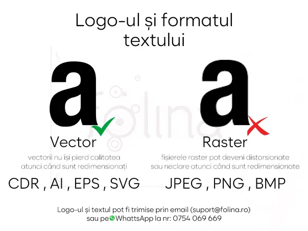 Logo ul si formatul textului