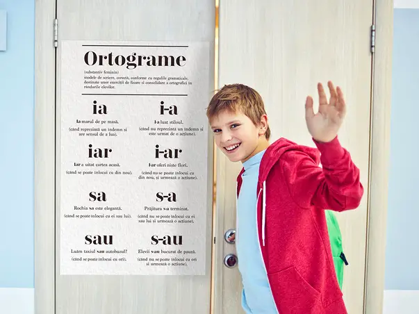 Ortograme simulare 1