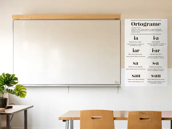 Ortograme simulare 2