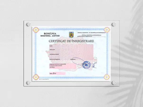 Placuta personalizata certificat de inregistrare simulare 1