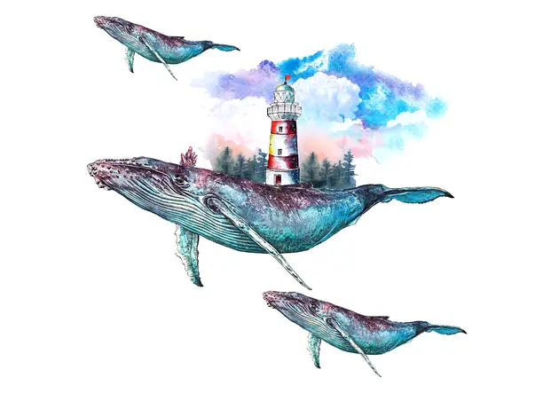 Set 3 balene si far 1