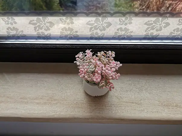 Sticker geam Folina bordura decorativa model floral gri