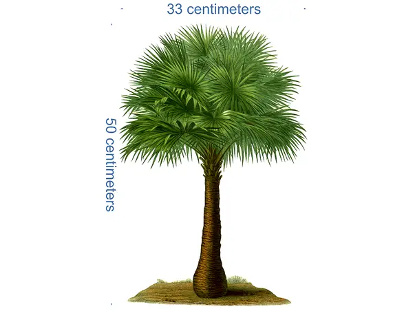 Stickere copii animale diverse 6