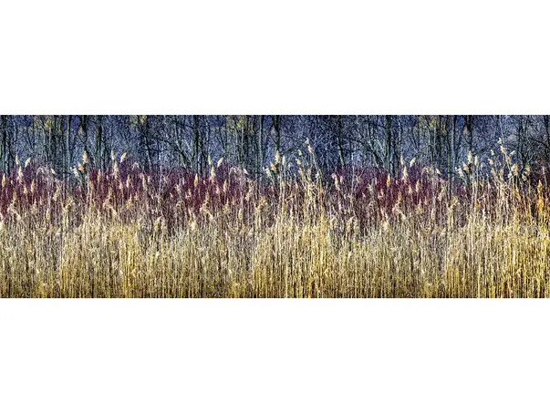 autocolant bucatarie dimex winter reeds