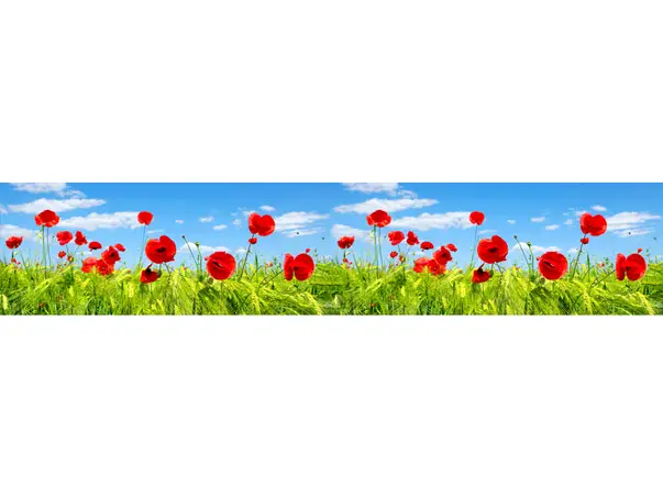 autocolant camp cu maci