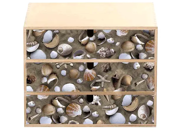 autocolant decorativ scoici venus