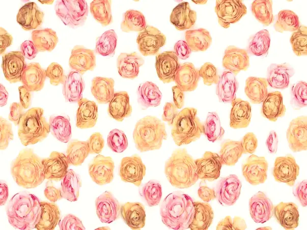 autocolant decorativ trandafiri rosedale