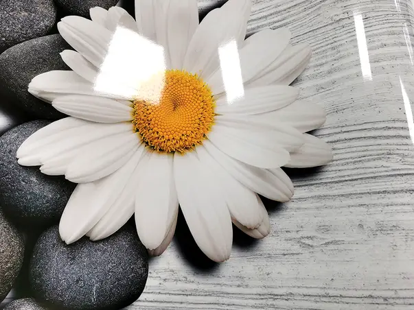 autocolant faianta decorativa margareta folina lemn gri rola s10