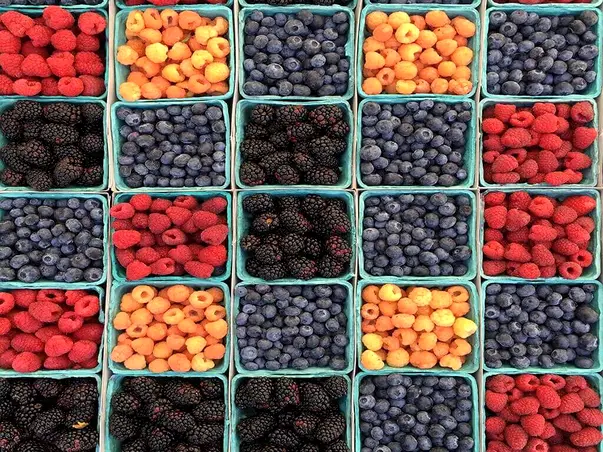 autocolant model fructe folina