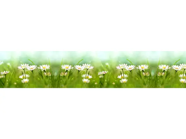 autocolant model margarete