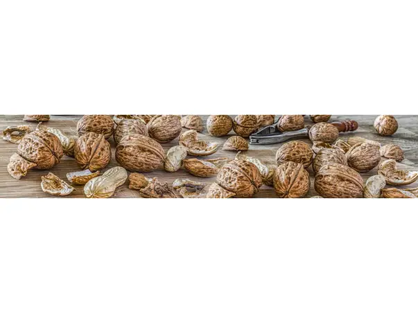 autocolant model nuci