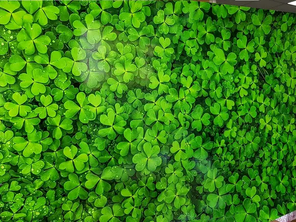 autocolant model trifoi verde