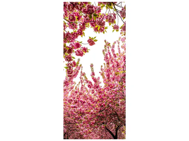 autocolant pentru usa flori roz blossom