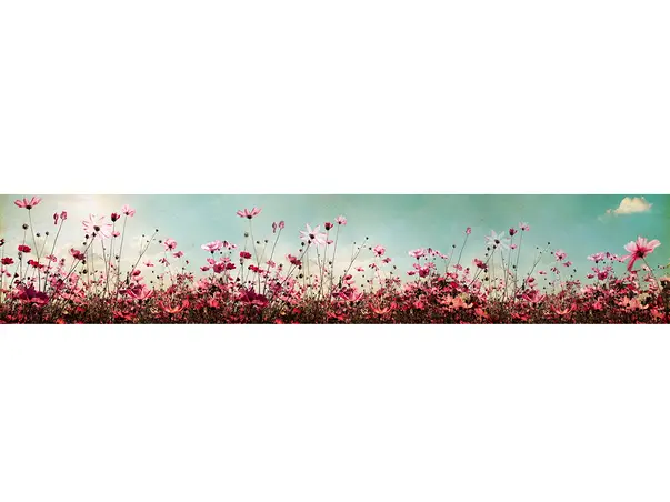 autocolant perete dimex ki 350126