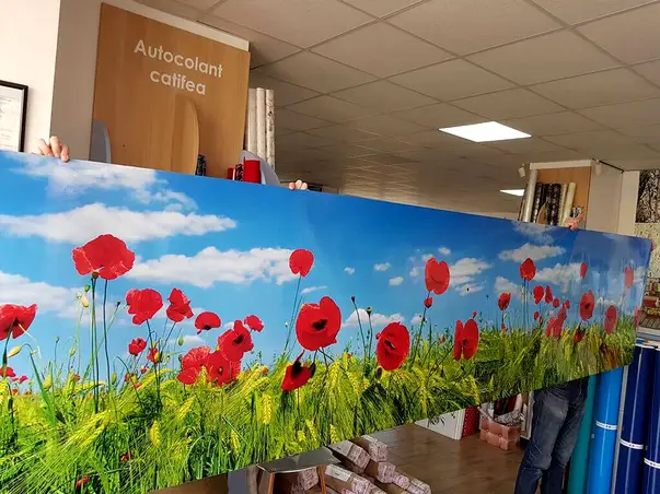 autocolant perete folina