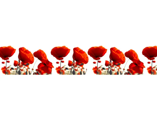 autocolant perete maci