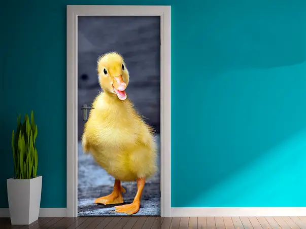 autocolant usa boboc de rata 1