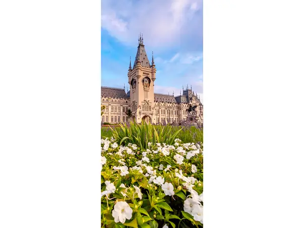 autocolant usa folina palatul culturii iasi 2