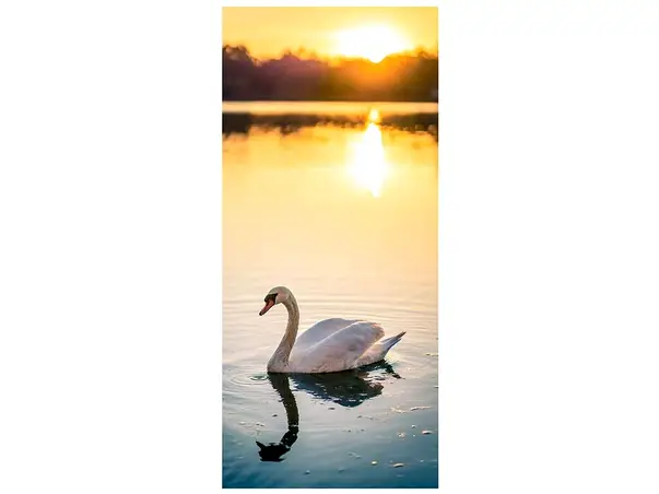 autocolant usa lebada 2