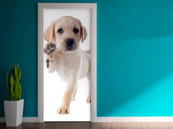 autocolant usa model catel folina 92 205 cm