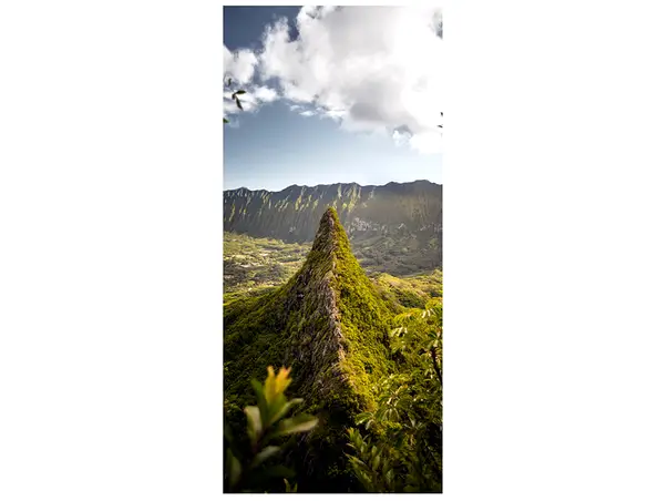 autocolant usa pisc 2