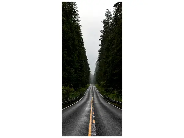 autocolant usa strada prin padure 2