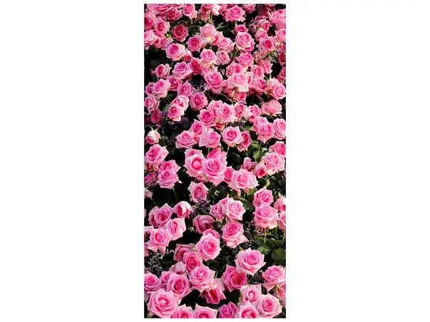 Autocolant usa cu imprimeu Trandafiri roz, de la Folina, model floral