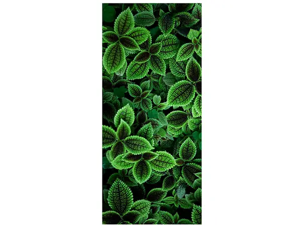 autocolant usa urzici 2