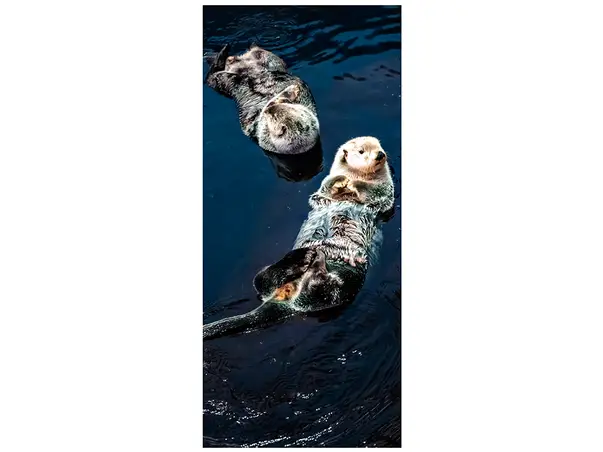 autocolant usa vidre 2