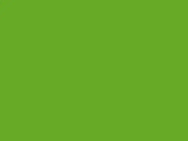 autocolant verde lime green oracal 641 1