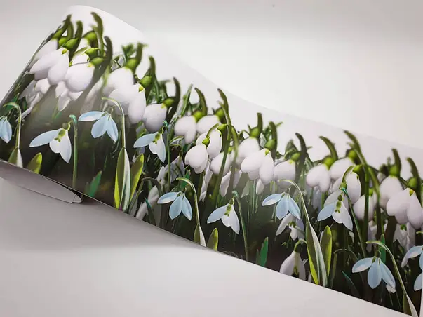 bordura autoadeziva ghiocei