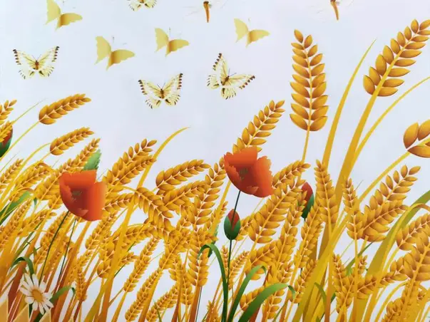 bordura decorativa autoadeziva spice grau